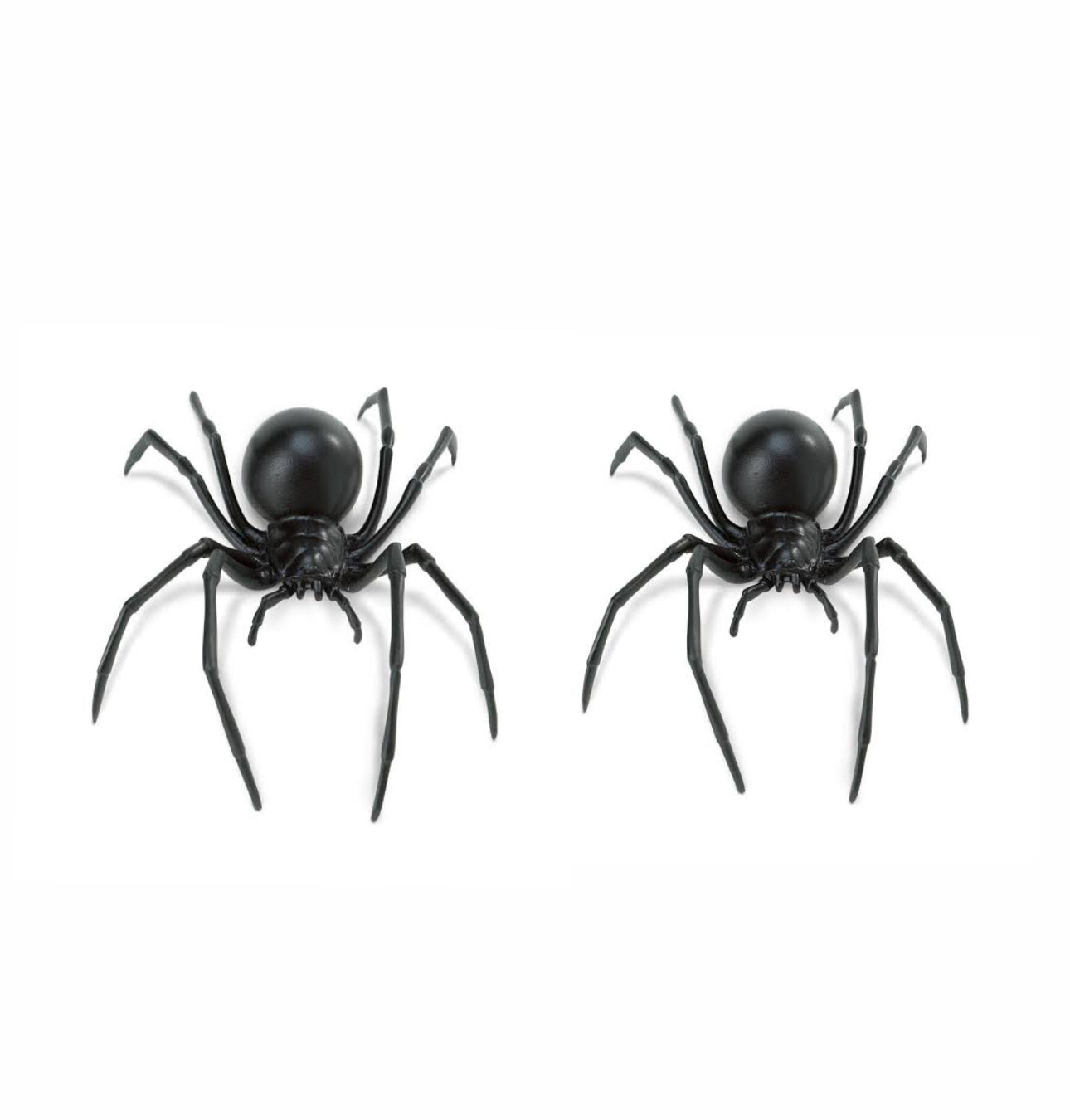 3D Spider Fridge Magnet