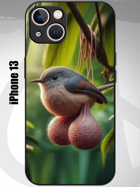 Bird Balls Phone Case