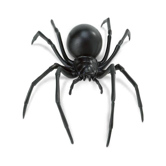 3D Spider Fridge Magnet