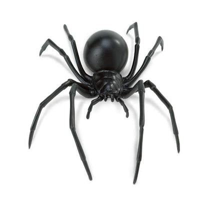 3D Spider Fridge Magnet