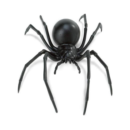 3D Spider Fridge Magnet