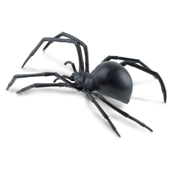 3D Spider Fridge Magnet