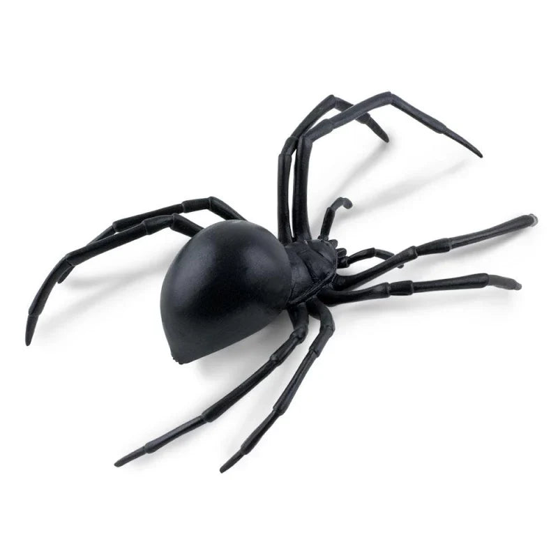 3D Spider Fridge Magnet