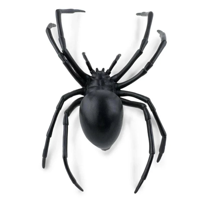 3D Spider Fridge Magnet