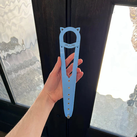 Cat Door Latch Holder