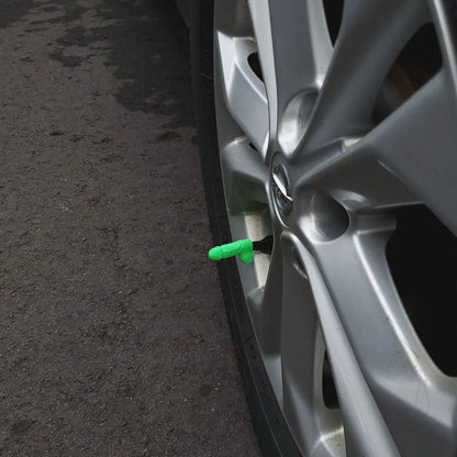 Penis Tire Valve